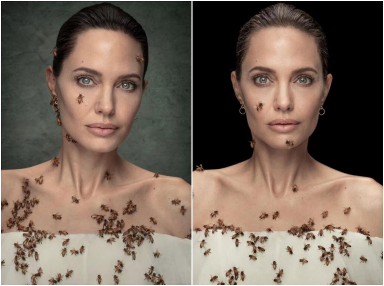 アンジェリーナ・ジョリーが「蜂まみれ」に!ハラハラしてしまう映像、何が目的?