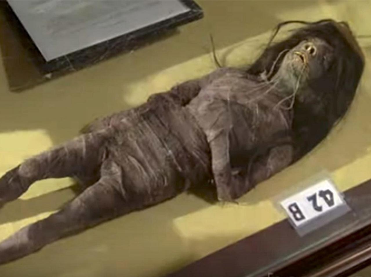 あるホラー映画で使われた「遺体」が、本物の人間から作られていたことが判明…