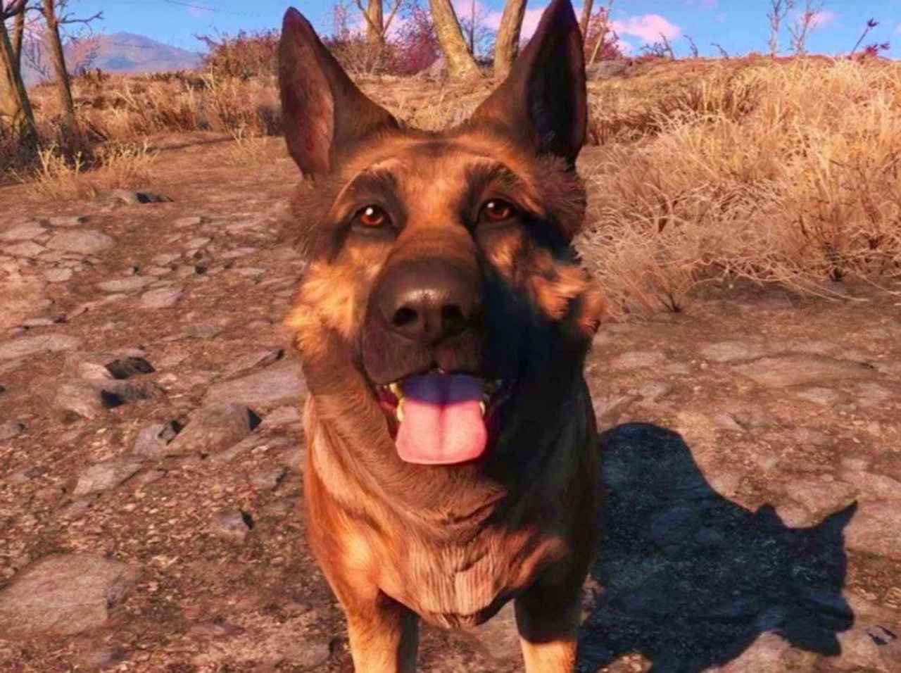 ゲーム『Fallout 4』“ドッグミート”のモデルになったジャーマンシェパードが天国へ