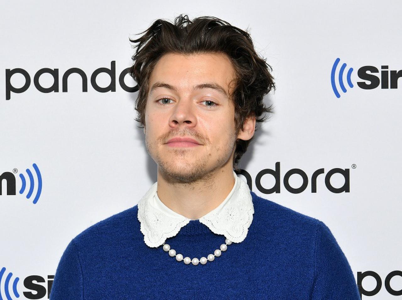 ハリー・スタイルズ、人気女優のペットに頭の上で「アレ」をされる