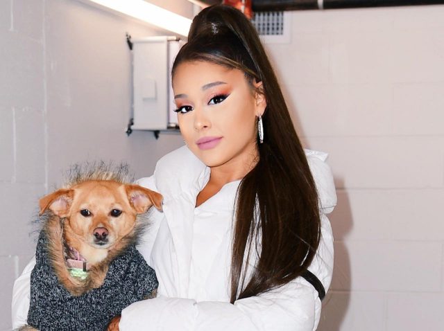 アリアナ・グランデにPETAから「結婚祝い」 夫婦で使う様子を見てみたい