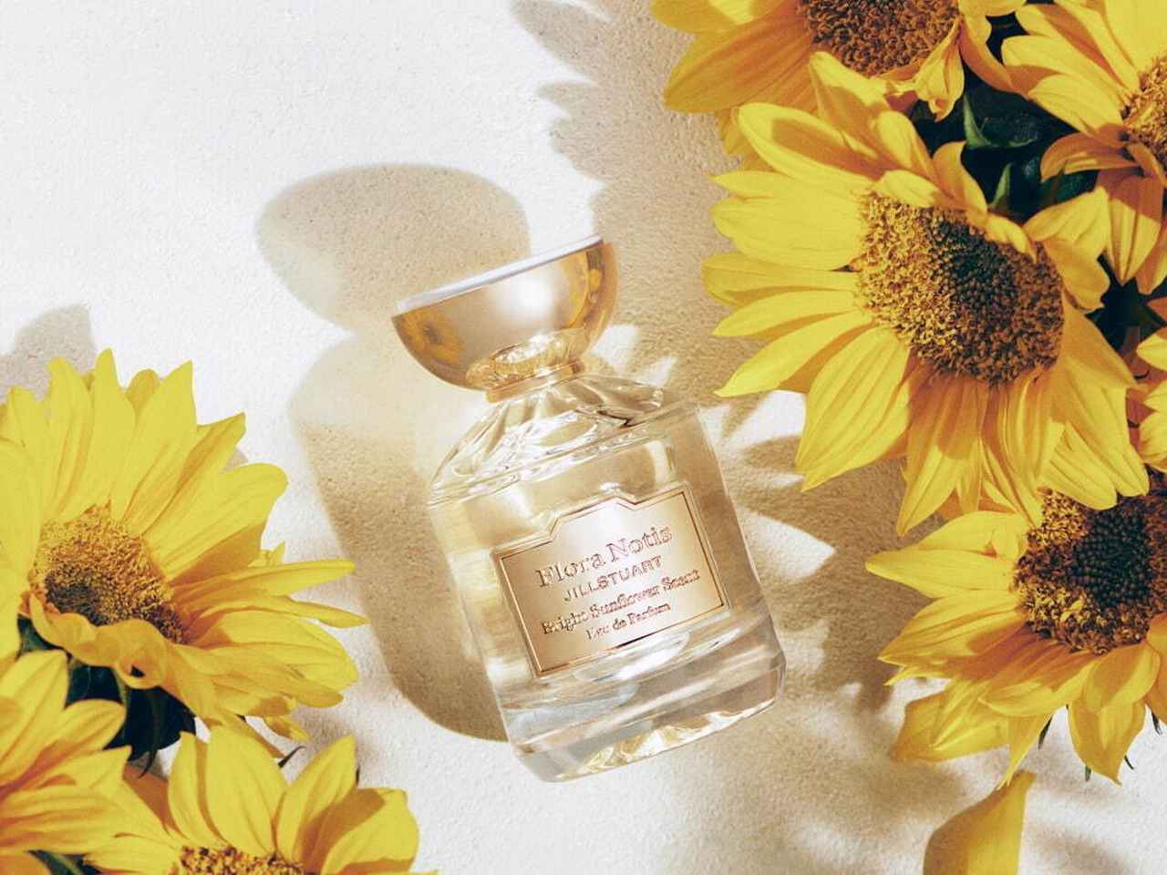 フローラノーティス ジルスチュアートから“ヒマワリ”着想の新フレグランス登場、コラボカフェも同時開催