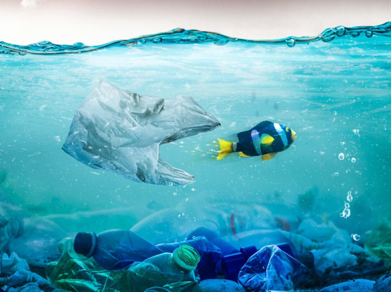 世界の使い捨てプラスチックごみの大半はたった20の企業が出したもの