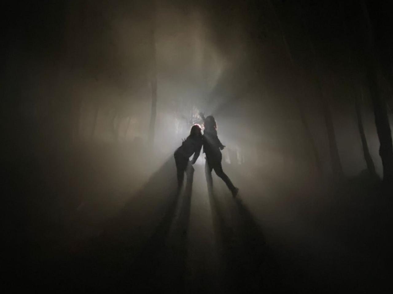 フェミニストスラッシャー!?『Slumber Party Massacre』リメイクが気になりすぎる