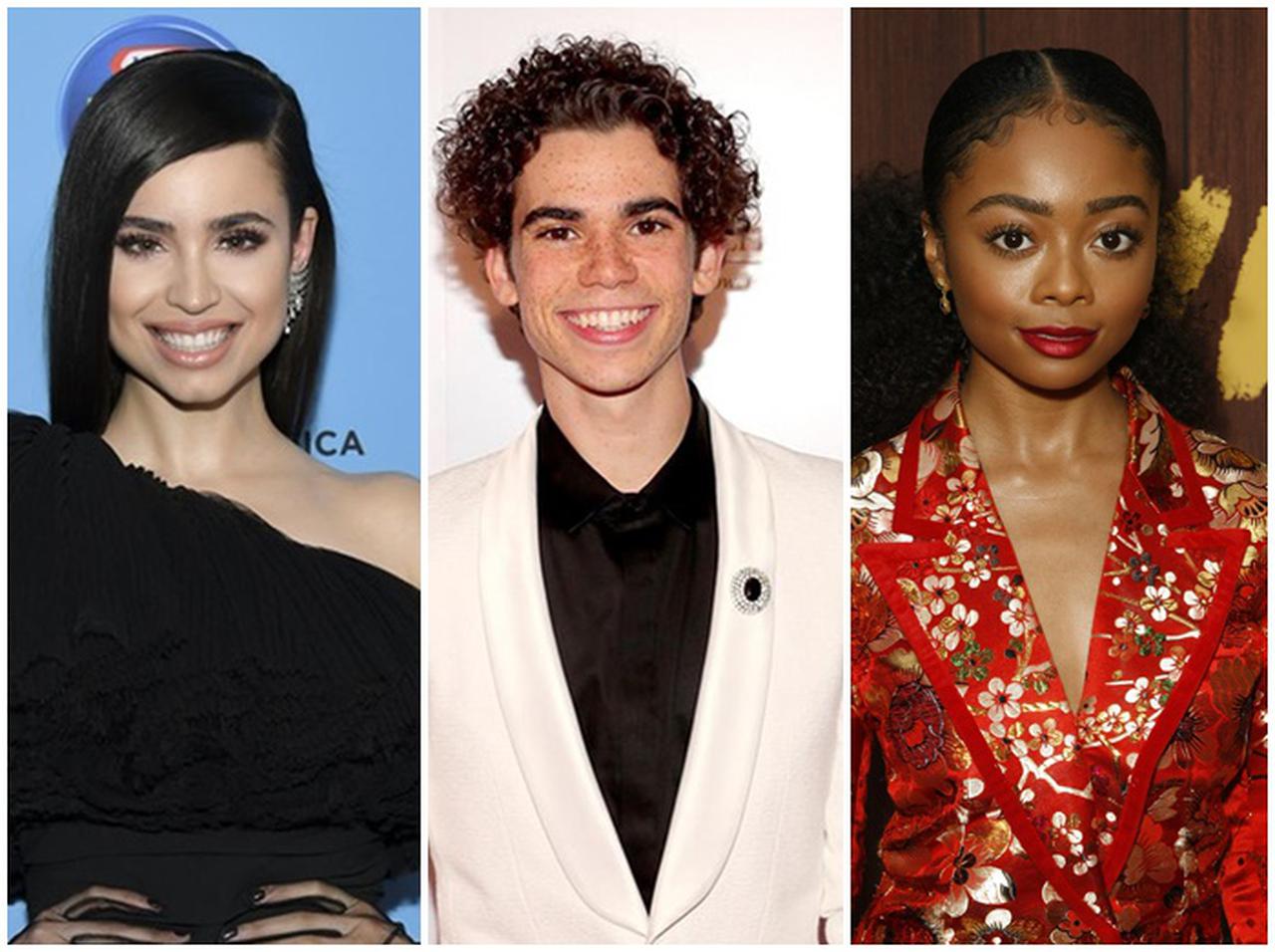 キャメロン・ボイス2度目の命日、ソフィアやスカイが追悼メッセージを送る