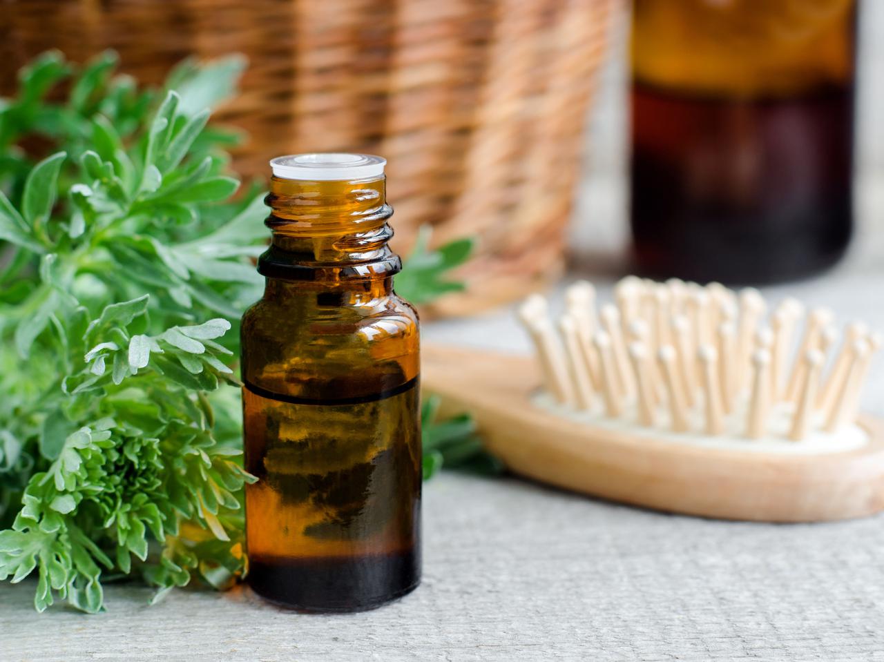 植物パワーでうるさら美髪に!スーパーフード「ケール」の知られざるヘアケア効果