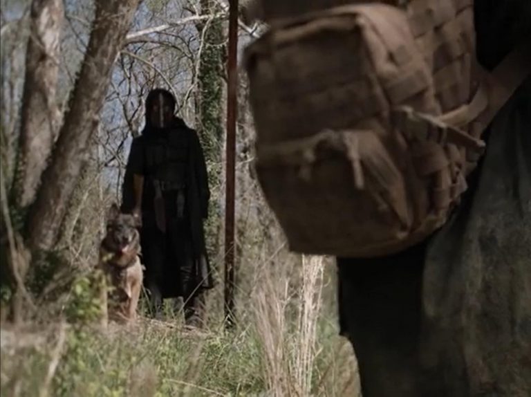 『ウォーキング・デッド』最終章予告、ダリルの「大切な人」の姿?再登場か