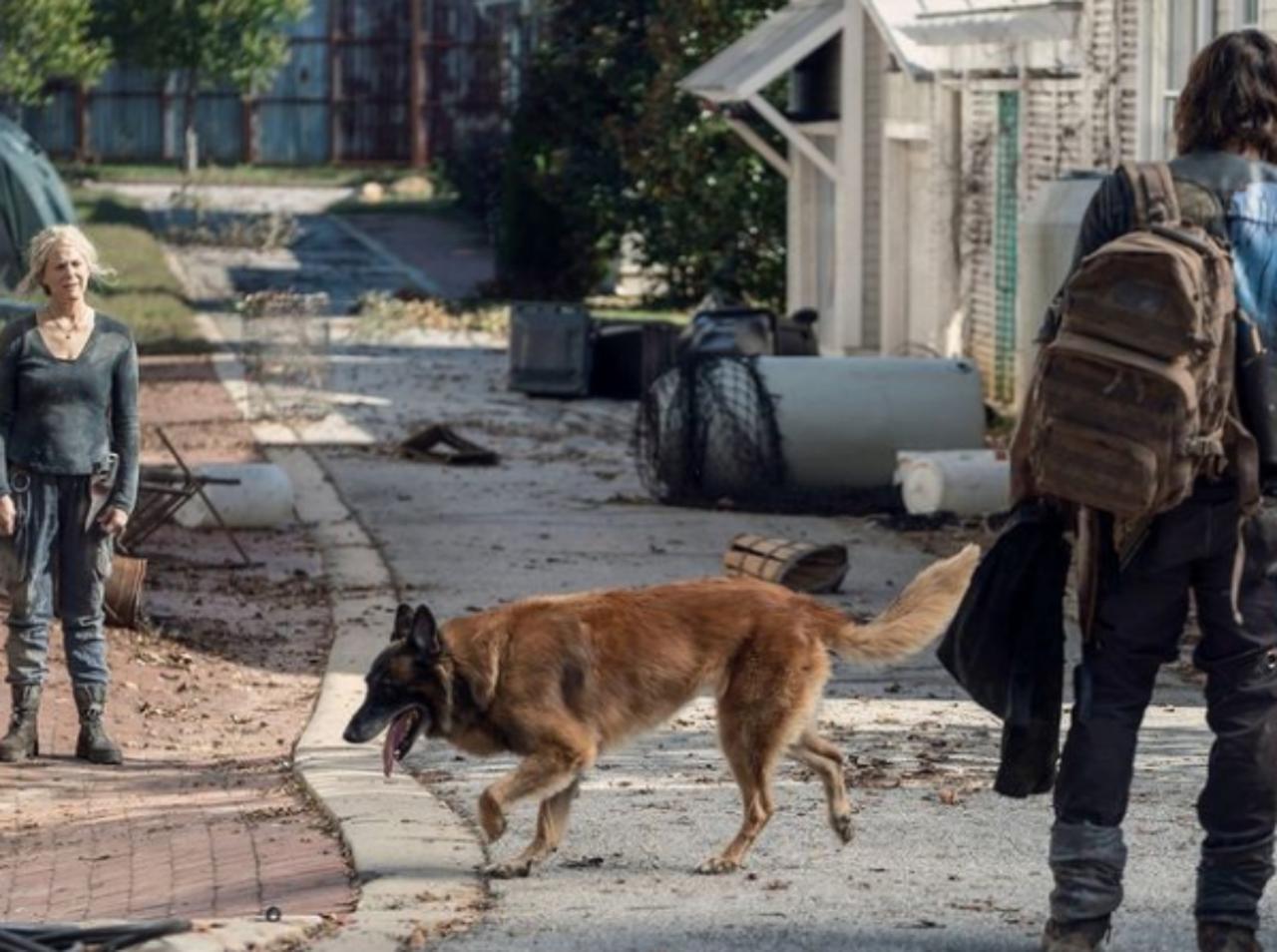 『ウォーキング・デッド』最終章で死んでほしくないキャラ、投票1位がまさかの「人じゃない」