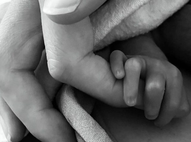 『リベンジ』のエミリー・ヴァンキャンプ＆ジョシュ・ボウマン夫妻に第1子誕生