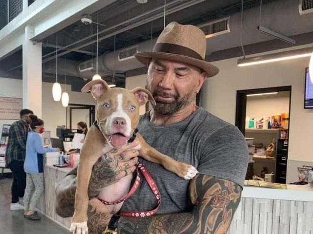 マーベル俳優、虐待に遭っていた犬を引き取り犯人探しに自腹で懸賞金