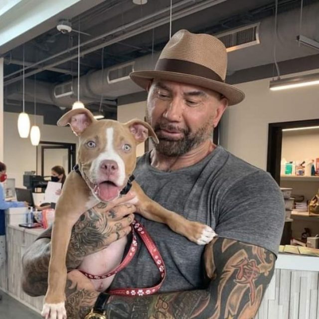 マーベル俳優、虐待に遭っていた犬を引き取り犯人探しに自腹で懸賞金