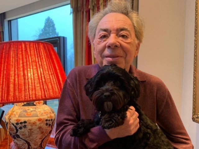 イギリスの巨匠作曲家、『キャッツ』が嫌いすぎて「犬」を飼い始める