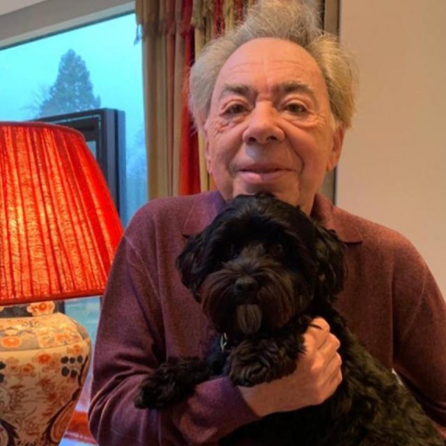 イギリスの巨匠作曲家、『キャッツ』が嫌いすぎて「犬」を飼い始める
