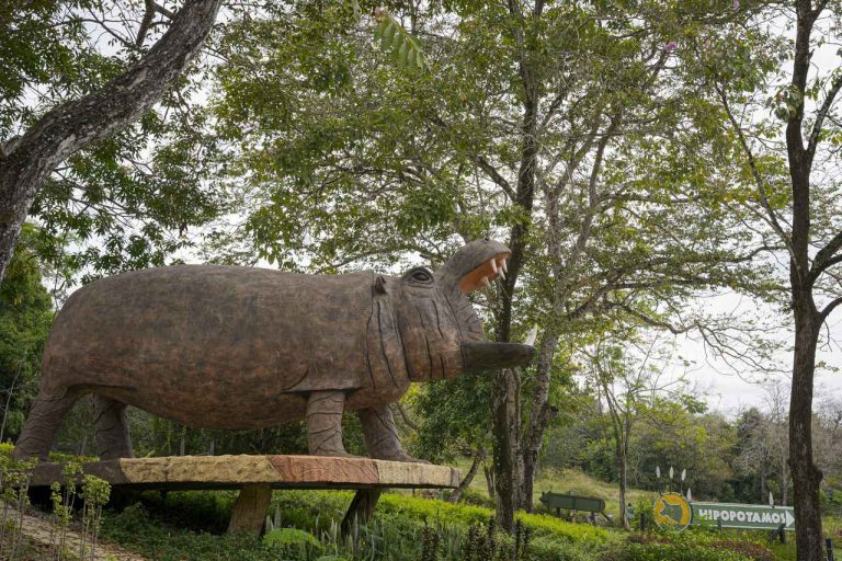 コロンビアの「コカインカバ」に避妊薬を与える計画