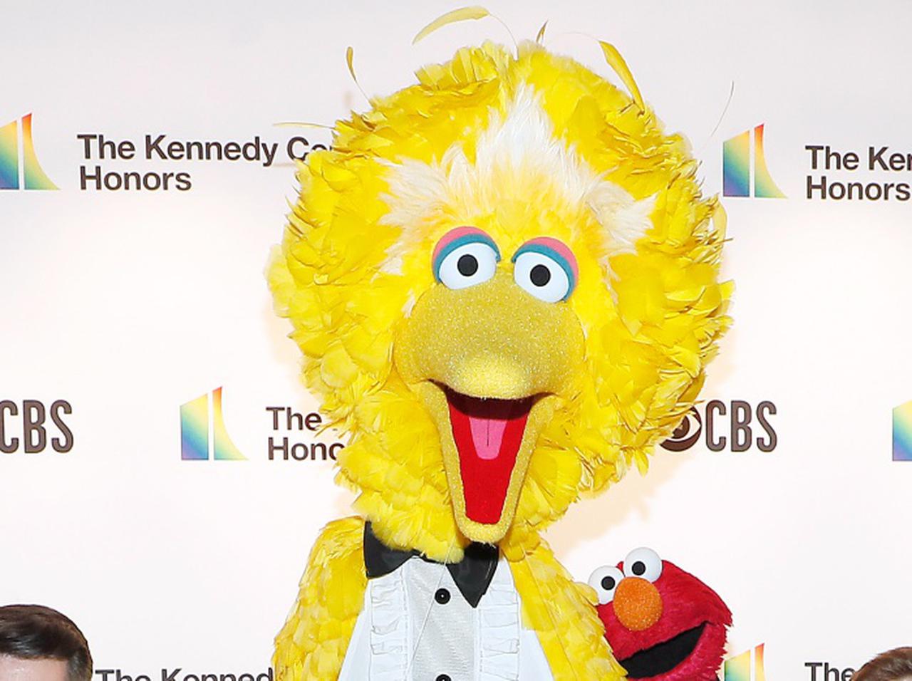 『セサミストリート』ビッグバード、新型コロナのワクチンを接種したことを報告