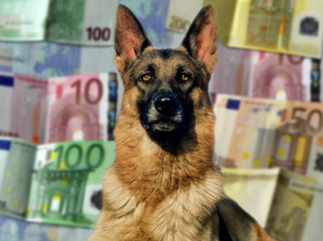 総資産500億円超えの世界一リッチな『犬』、マドンナから買い取った豪邸を4倍の値段で売却へ