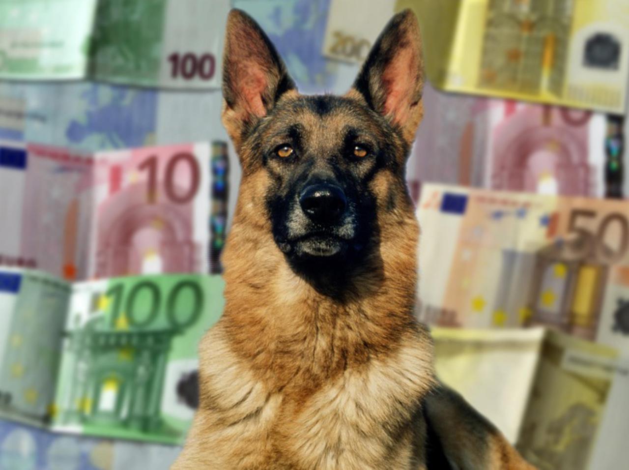 総資産500億円超えの世界一リッチな『犬』、マドンナから買い取った豪邸を4倍の値段で売却へ