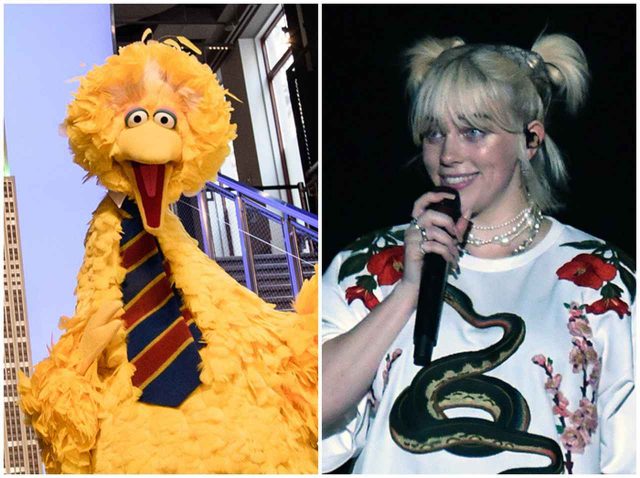 ビリー・アイリッシュや大坂なおみが出演！『セサミストリート』新シーズンのキャストが最高すぎる