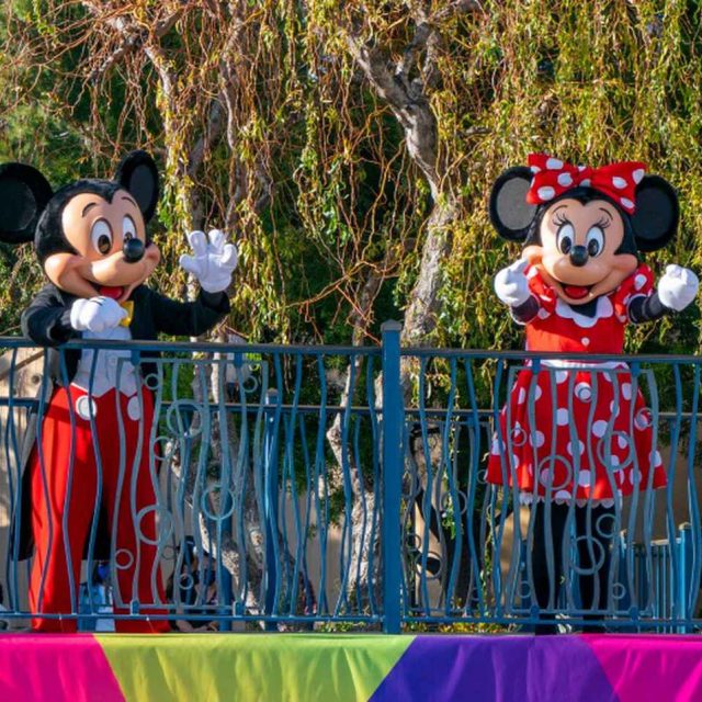 ディズニーランドとミッキーに頼り過ぎてしまった、子供とランドに何度も通ったディズニー声優が『後悔』を告白