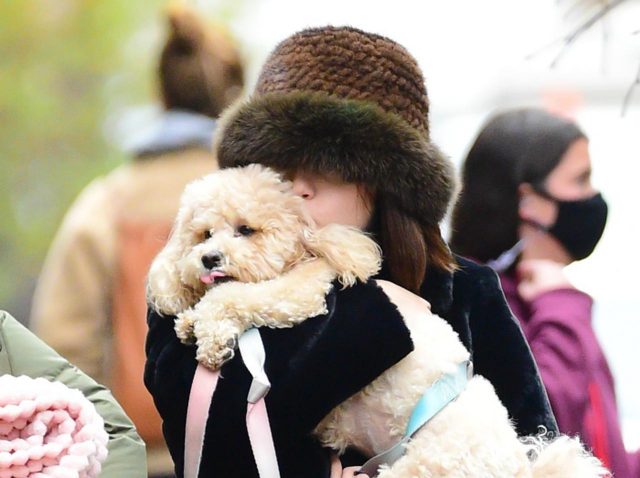 モフモフ感がたまらない！ セレーナ・ゴメスがドラマの現場で愛犬をギュ～【写真】