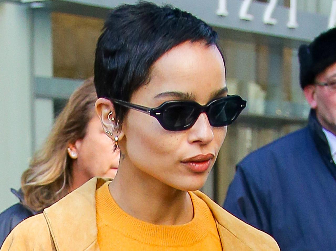 『ザ・バットマン』キャットウーマン役、アクションのために「研究した動き」に興味がそそられる!