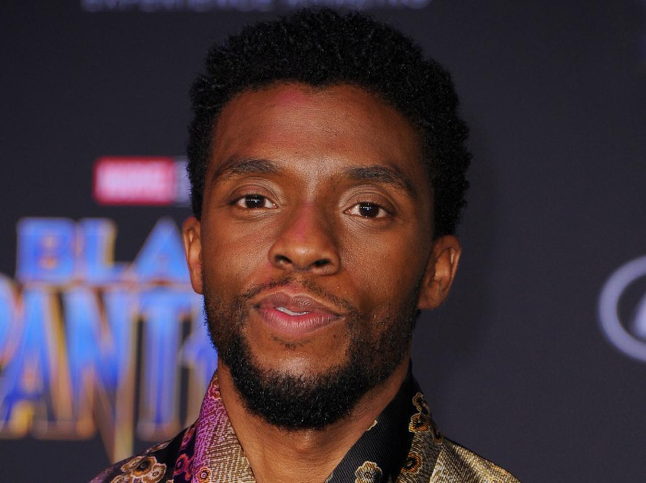 署名数はまもなく5万、『ブラックパンサー』ティ・チャラに代役求める声