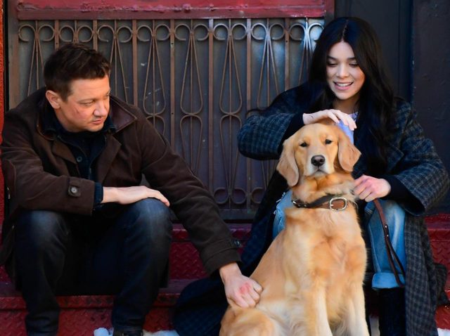 【ネタバレ】ついに完結！『ホークアイ』微笑ましすぎるオフショットをまとめました