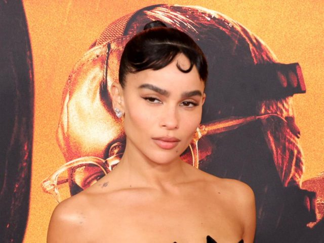 『ザ・バットマン』プレミアでゾーイ・クラヴィッツが「胸に猫」を仕込む