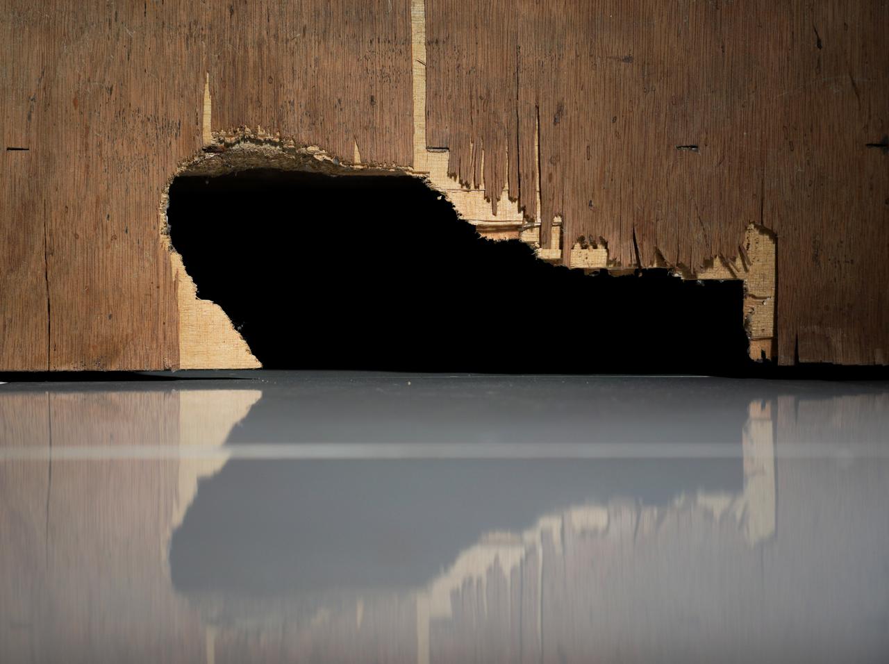 リノベーションの「恐怖」が現実に、『壁の内側』に発見したものにヒェ～！