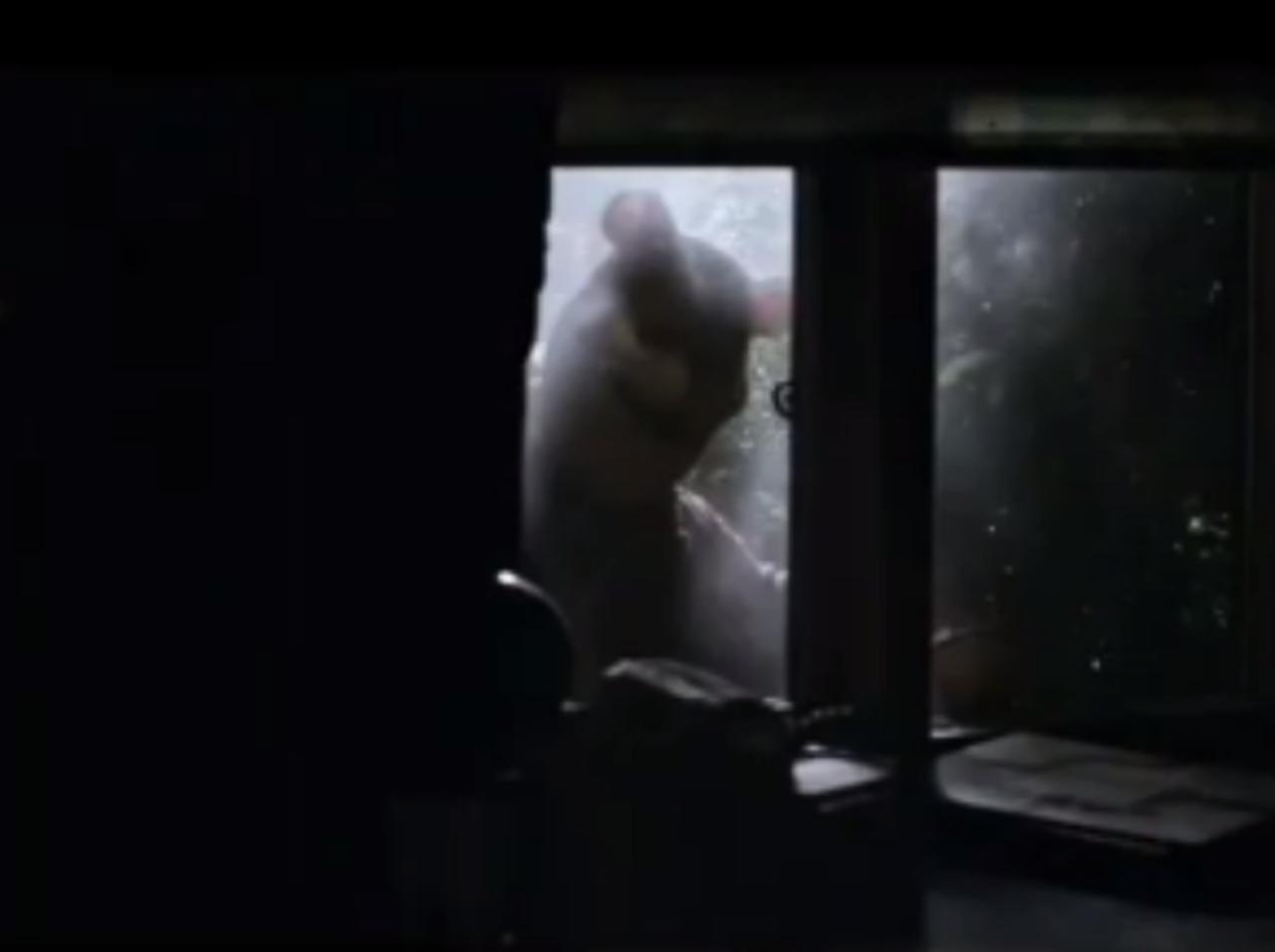 『くまのプーさん』の“ホラー映画”が怖すぎて笑え…ないレベル、こんなピグレットは嫌だ…