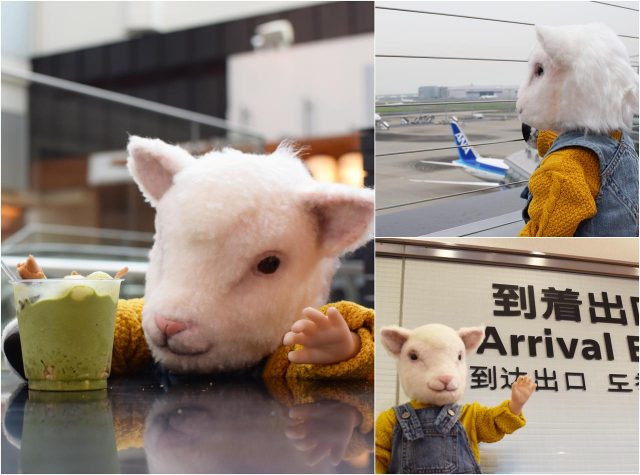 抹茶パフェに「うまいメェ」映画『LAMB／ラム』の羊アダちゃんがひとりで来日