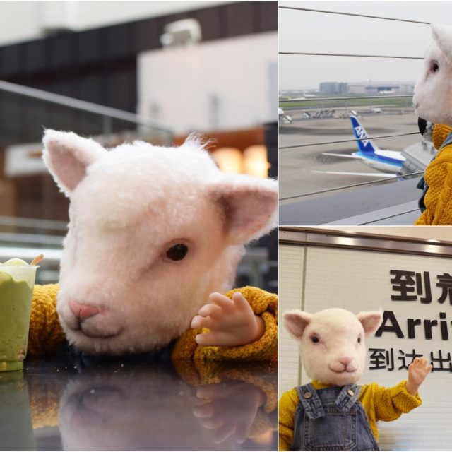 抹茶パフェに「うまいメェ」映画『LAMB／ラム』の羊アダちゃんがひとりで来日