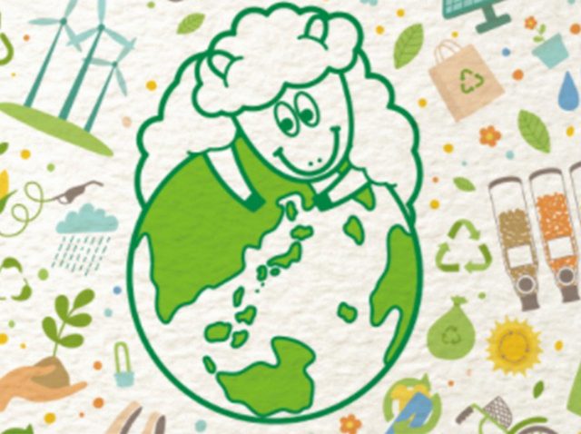 回収したペットボトルが野菜のトレーに！ビオセボンのサステナブルな取り組み【環境月間】