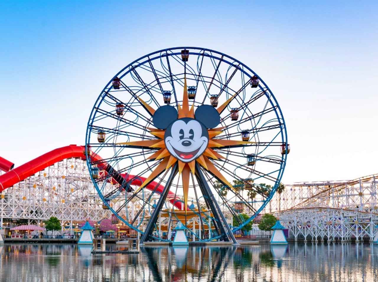 ディズニーランドで「髪の色」が理由で入園できず、何が問題だった?