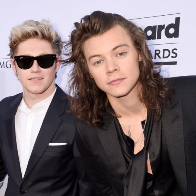 1Dのデビュー曲で満面の笑み！ハリー・スタイルズの公演にナイル・ホーランが来場