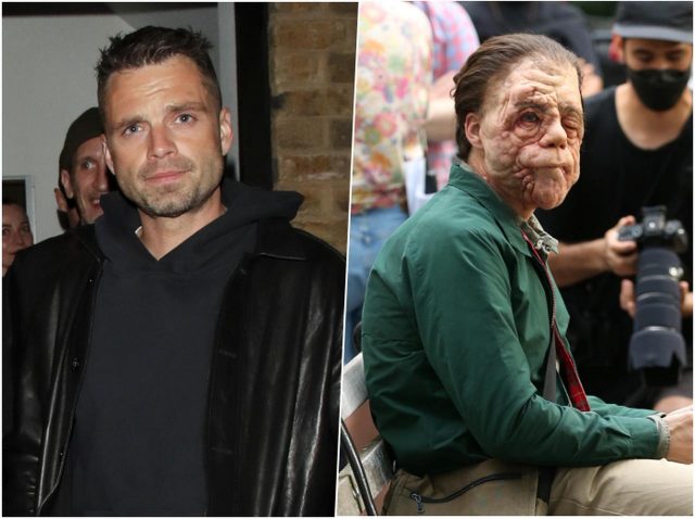 本当にセバスチャン・スタン？顔が変わりすぎて別人となった姿が目撃される