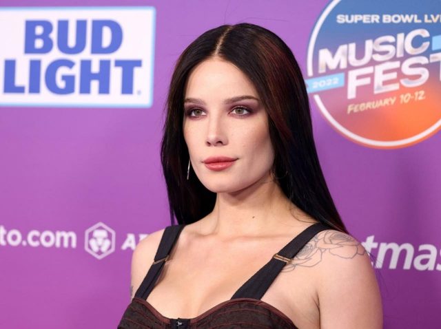 フジロックに出演するホールジー、ライブで中絶の権利についてのスピーチ中に退場した観客に反応