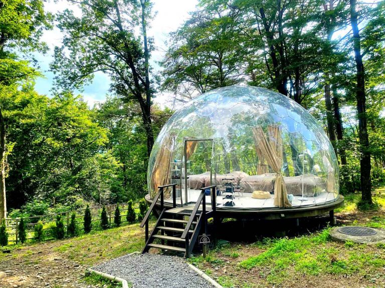 世界初の“透明ドーム型テント”体験レポ「那須塩原TOWAピュアコテージ」ではどんな時間が過ごせる?