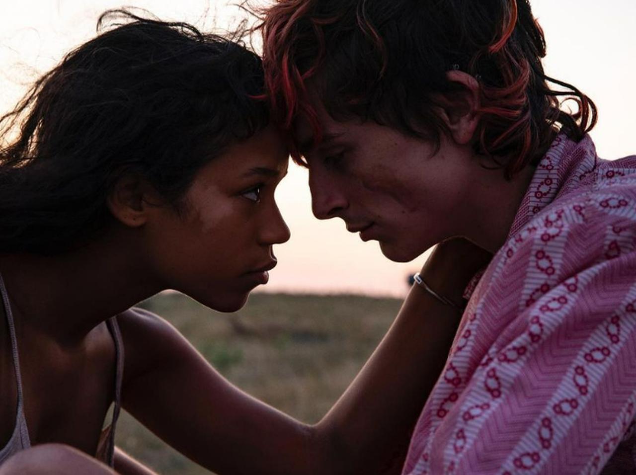 ティモシー・シャラメ×『君の名前で僕を呼んで』監督、“カニバリズムラブストーリー”でピンクヘアに