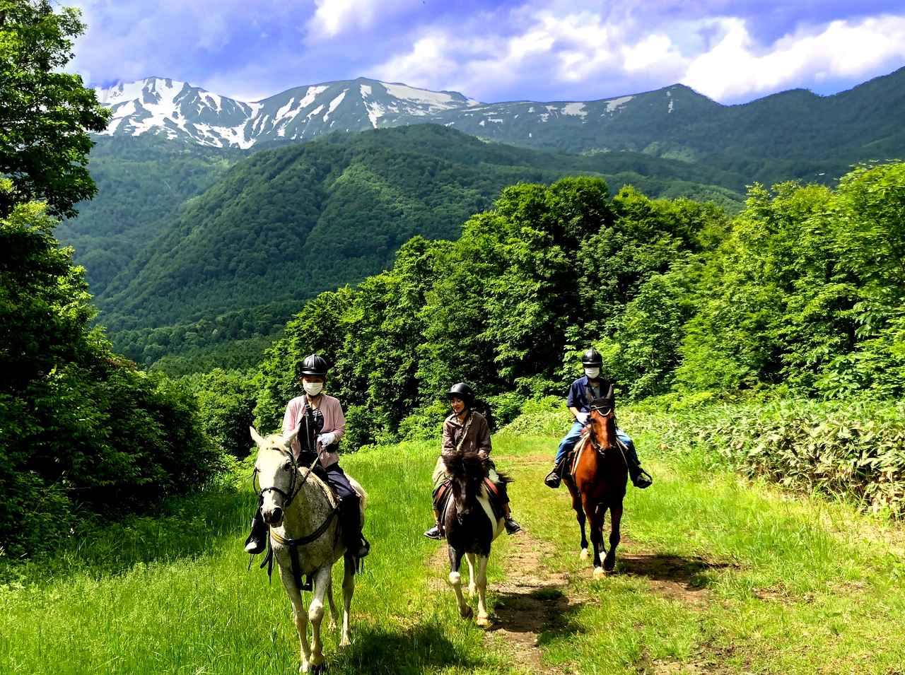 北アルプスの絶景をバックに乗馬!白馬東急ホテルでホーストレッキング付き宿泊プランの販売が決定
