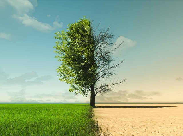 気候変動は人命に直結する！今考えるべき健康と環境問題の関係【SDGs週間】