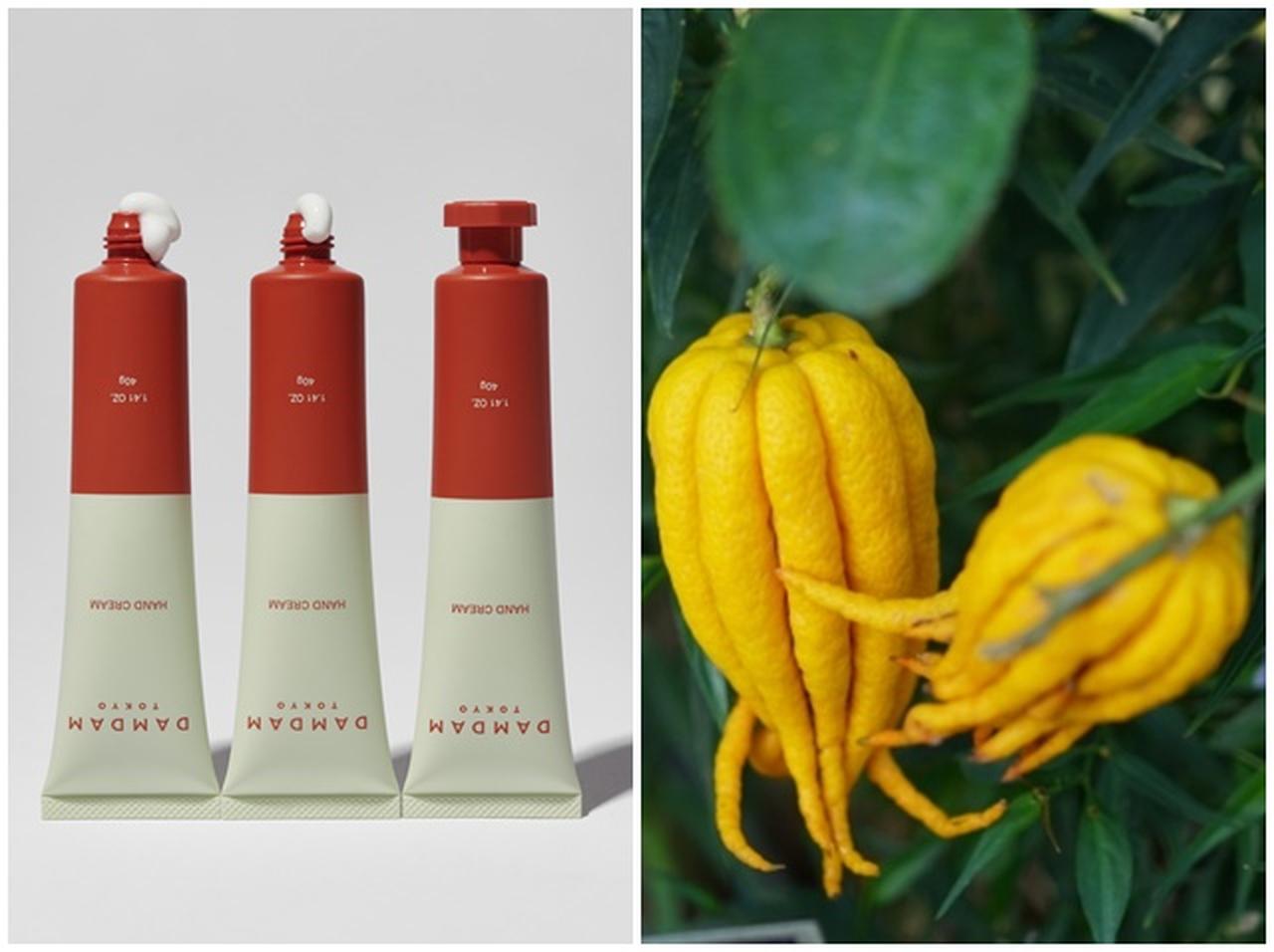 DAMDAMからハンドクリームが誕生！ローンチ記念のポップアップも開催