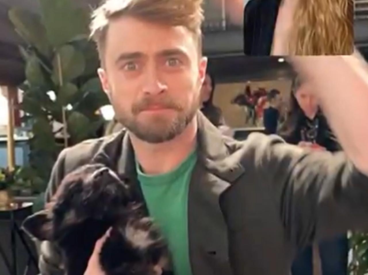 『ハリポタ』ダニエル・ラドクリフに抱っこされた子犬、“表情”が「無」になってしまう