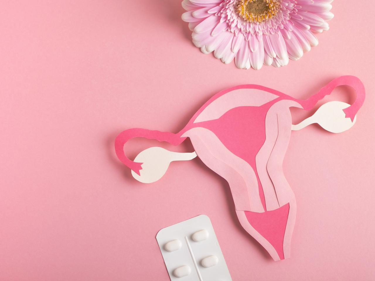 “膣内フローラ”を整える「乳酸菌配合サプリメント」が世界で話題!日本製のサプリも続々登場