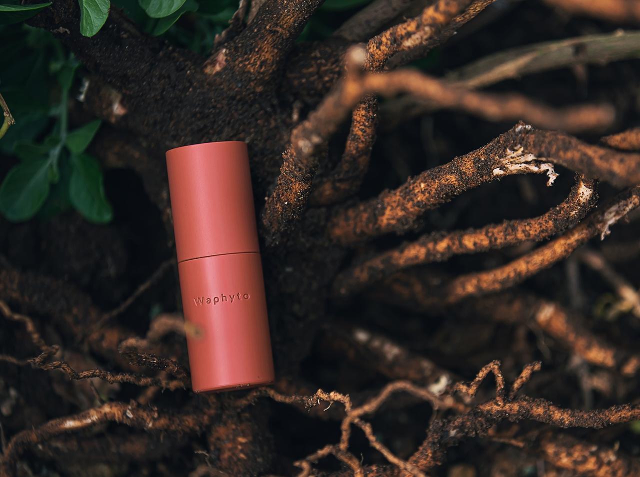 現代肌のストレスに着目!Waphytoから新美容液「レジェナ セラム」が誕生