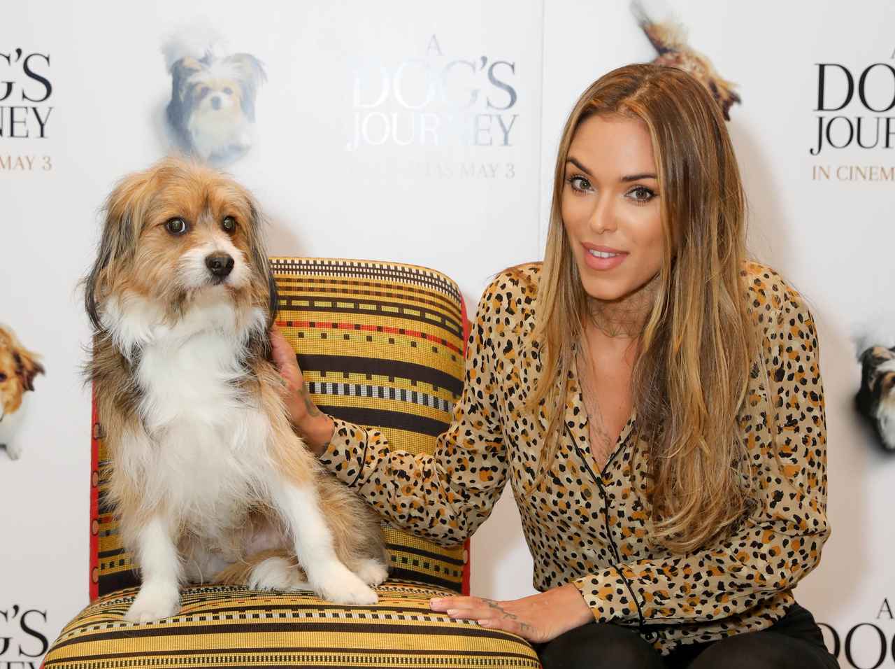 『僕のワンダフル・ジャーニー』プレミアでの「犬たちの様子」がジワる