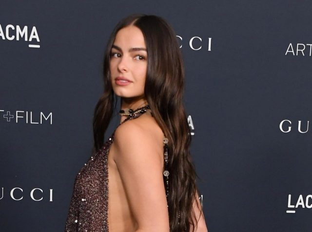 胸元がざっくり開いた24年前のヴィンテージドレスを着用、TikTokフォロワー数世界4位