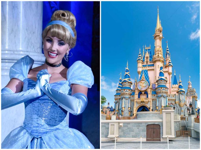 ディズニーランドのキャストに「禁断の質問」をしたゲストに怒りの声