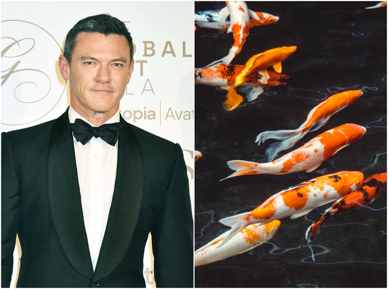 日本で『美女と野獣』ガストン役が壁いっぱいに巨大サインで龍と日本への感謝を綴る