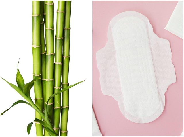 生理用ナプキンのトレンドは竹素材？海外で急増する「バンブーパッド」に注目